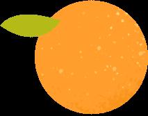 DƬ